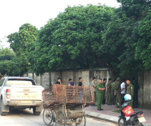 Công an bắt giữ đàn chó cắn tử vong bé trai 7 tuổi ở Hưng Yên