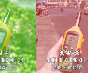 Clip: Sài Gòn nóng bức và đây là sự chênh lệch nhiệt độ giữa đường nhiều cây xanh và đường không một bóng cây