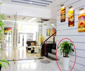 7 mẹo phong thủy giúp chiêu tài, nhà giàu không bao giờ nói cho bạn
