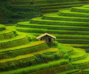 Mù Cang Chải lọt vào top địa điểm sắc màu nhất thế giới