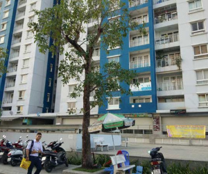 Vụ cháy chung cư Carina làm 13 người chết: Nhiều vấn đề chưa được làm rõ