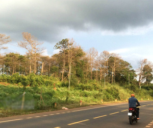 Nguyên lãnh đạo ‘ôm' 40 ha đất, nhận huân chương: Để không ổn, thu dễ bị kiện