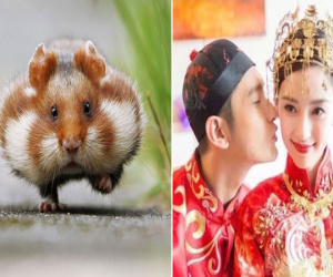 Đàn ông có vợ TUỔI TÝ như 'chuột sa chĩnh gạo', không được 10 cũng 9 phần NHƯ Ý, sống viên mãn tới già