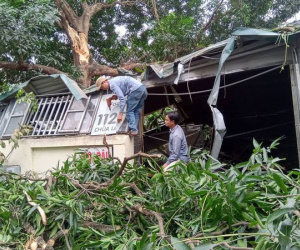 Hà Nội: Cây cổ thụ bất ngờ đổ sập xuống quán ăn, người dân hoảng loạn núp dưới gầm bàn cầu cứu