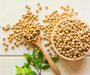 Những thực phẩm phụ nữ cần biết sau tuổi 30 để 'hồi xuân' chuyện ấy