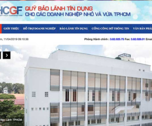 3 sếp ở Quỹ Bảo lãnh tín dụng TP HCM làm liều
