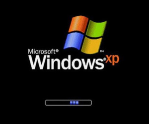 Windows XP đã chết