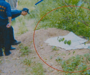 Manh mối phá vụ chôn sống nam thanh niên từ đàn chó hoang