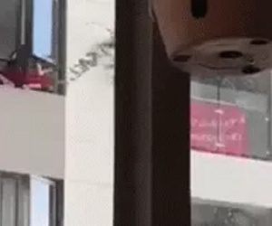 Mở cửa sổ, người đàn ông hoảng hốt khi thấy hình ảnh giúp việc nhà bên: 'Đau tim gần chết'