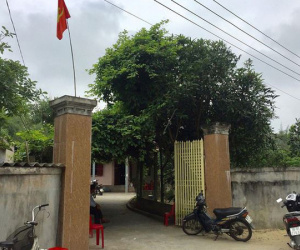 Ảnh minh họa
