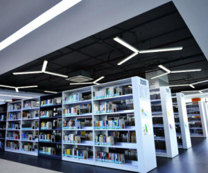 Bảng xếp hạng top 200 của ĐH Tôn Đức Thắng thực chất như thế nào?