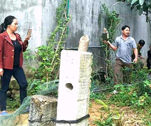 Bốn mẹ con lĩnh án tù vì ném gạch vào đoàn cưỡng chế
