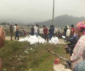 6 vụ ma túy khủng bị triệt phá từ đầu năm 2019