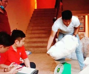 Video ảnh: Cận cảnh công an Nghệ An thu 700kg ma tuý 'bỏ quên' ven đường
