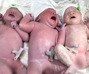 Hội bỉm sữa xôn xao trước ca sinh 3 'siêu tiết kiệm', đẻ một lần có đủ cả nếp lẫn tẻ