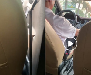 Chê chó hôi rình, tài xế taxi gọi bạn nhờ đổi xe liền bị nữ hành khách gay gắt: 'Chó của em toàn chó đắt tiền, ba chục triệu một con'