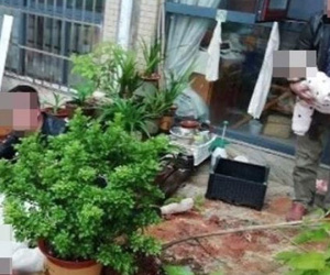 Mẹ ôm con gái 4 tháng tuổi nhảy lầu từ tầng 19, nguyên nhân khiến ai cũng đau đớn
