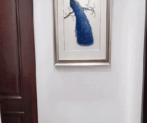 Khi con muốn làm 'Người nhện' và bố sẵn sàng biến giấc mơ đó thành hiện thực, kết quả sẽ hài hước thế này