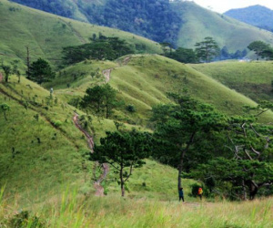 Thêm một phượt thủ tử nạn trên cung đường Tà Năng-Phan Dũng