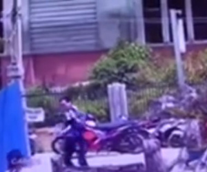 Khách du lịch 'cầm nhầm' chó con của quán cà phê ở Đà Lạt