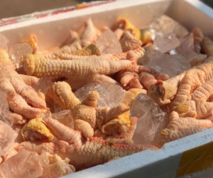Chuyện lạ: Chân gà khồng lồ, 400 ngàn/kg vẫn cháy hàng