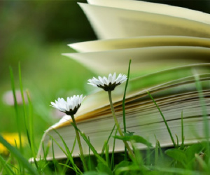 Tử vi 12 con giáp ngày 5/5/2019 : Tý cẩn thận mất tiền oan, Mão đề phòng bệnh tật