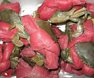 Mua 2,5kg cua 'khuyến mãi' 1,9 kg dây vải: Thanh niên khóc ròng
