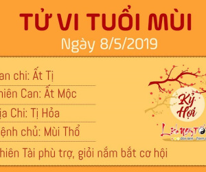 Tử vi thứ 4 ngày 8/5/2019 của 12 con giáp: Dậu thi cử thuận lợi, Mão dễ vướng thị phi