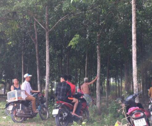 Đi làm lúc sáng sớm, người dân tá hỏa phát hiện người đàn ông chết trong tư thế treo cổ