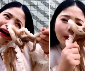 Livestream cảnh ăn bạch tuộc sống, cô gái xinh đẹp suýt bị đối phương 'nuốt chửng' và sự thật kinh hoàng về món ăn này