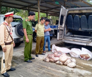 Nửa tấn thịt, mỡ động vật hôi thối đang vào Bình Định thì bị bắt