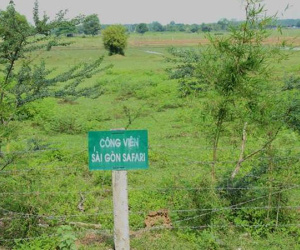 Vingroup rút lui khỏi siêu dự án nửa tỷ USD Sài Gòn Safari