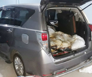 Video: Hàng trăm cảnh sát lục soát kho ma túy 500 tỷ ở Sài Gòn