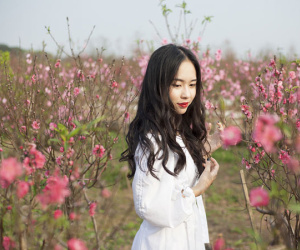 Nhiều chuyên gia đề xuất 'nghỉ Tết âm lịch không quá 7 ngày'