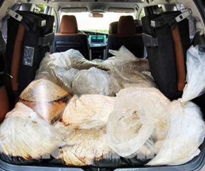 Vì sao lô 500kg ma túy từ Quảng Ninh lọt vào tới TPHCM?