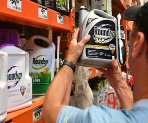 Monsanto phải bồi thường 2 tỷ USD cho cặp vợ chồng ung thư ở Mỹ