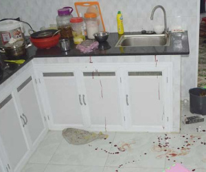 Vụ vợ chồng giáo viên về hưu tử vong với nhiều vết đâm: Người chồng nhiều lần đòi chết chung với vợ