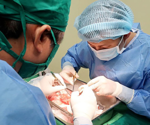Em trai hiến một quả thận ghép cho chị gái