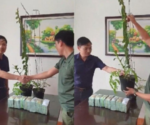Tiết lộ của đại gia Hà Tĩnh ra Hải Phòng mua 2 chậu lan 3,5 tỷ