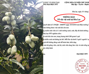 Bá đạo như 'trường nhà người ta': Ra hẳn thông báo bằng văn bản chỉ để cấm sinh viên không được vặt xoài khi còn non