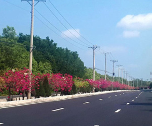 Giá đất Cần Giờ tăng hơn 200% sau các cơn sốt đất