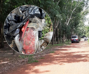 Cảnh sát vào rừng cao su, truy tìm dấu vết để phá án vụ 2 thi thể trong thùng nước đổ bê tông