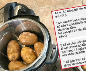 Hoảng sợ khi thấy bạn cùng phòng ăn khoai tây hầm liên tục 14 ngày, nam sinh cầu cứu cư dân mạng hiến kế