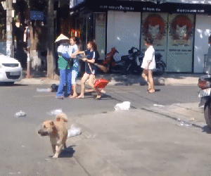 Nhắc nhở nhân viên shop thời trang vứt rác bừa bãi ra đường, nữ lao công bị cô gái trẻ đánh tới tấp
