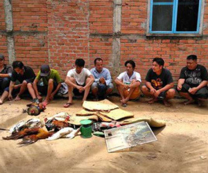 Con bạc bỏ chạy tán loạn khi công an ập vào trường gà