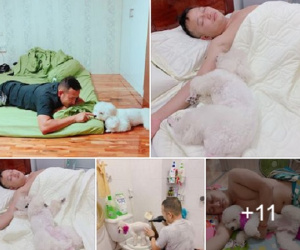 Góc nuôi ong tay áo: Mang theo cún cưng về nhà chồng, vợ trẻ cay đắng phát hiện bị 'cướp' chồng lúc nào chẳng hay
