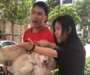 Nam Việt Kiều lên tiếng sau khi bị 'ném đá' vì xấc xược với bác bảo vệ lớn tuổi: Sẽ xin lỗi trực tiếp, mong CĐM đừng làm phiền tới vợ và gia đình