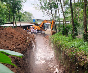 Dịch tả châu Phi lây lan ở ba tỉnh Đông Nam Bộ