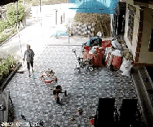 Lời khai của cụ bà dã tâm đổ thuốc diệt cỏ xuống giếng hãm hại 5 người hàng xóm