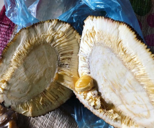 Cười ra nước mắt với mít 'độc' múi: Đến tạo hóa cũng trêu ngươi thế này thì chị em biết tin vào đâu đây?